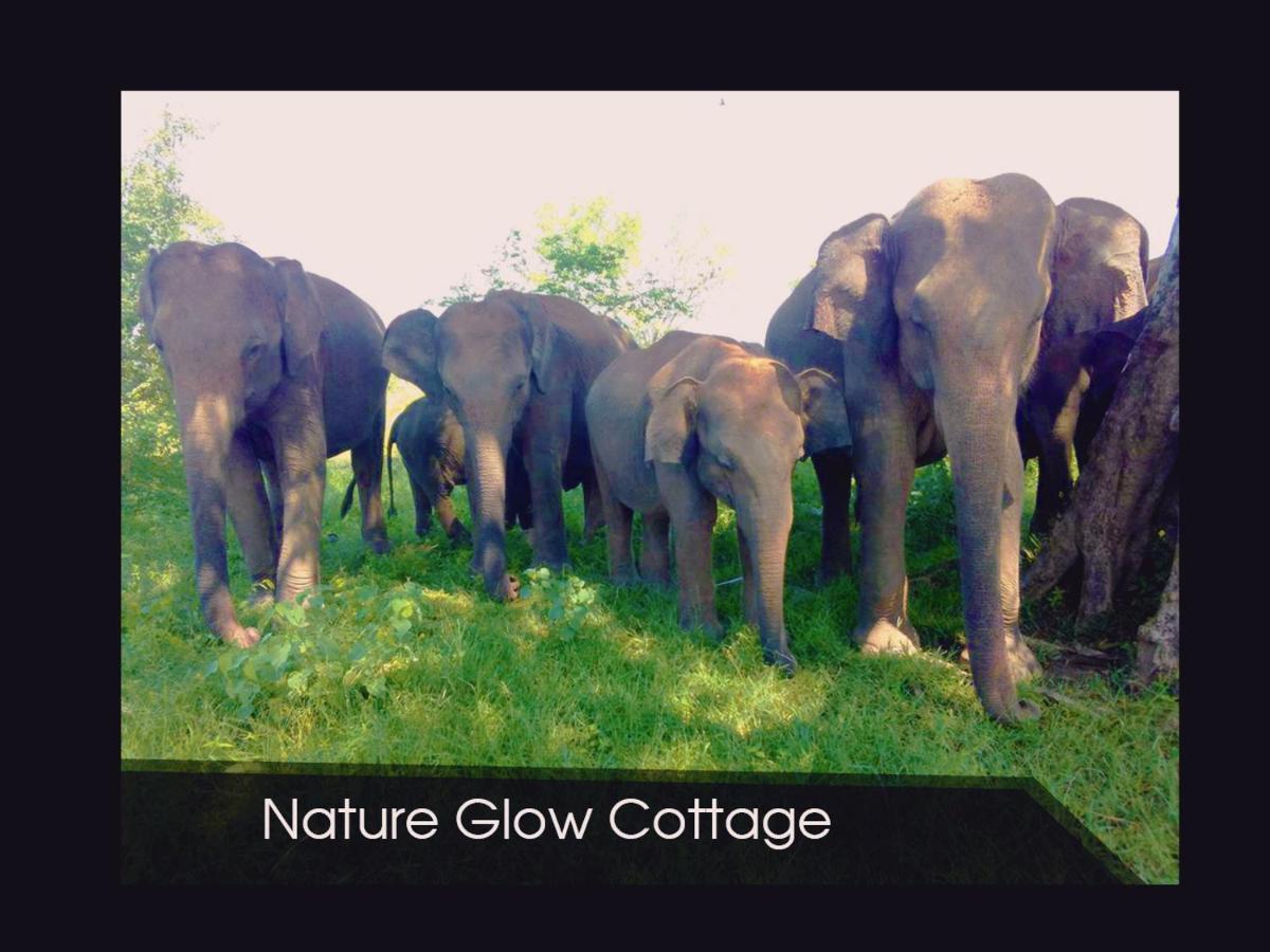 Nature Glow Cottage Udawalawe Kültér fotó